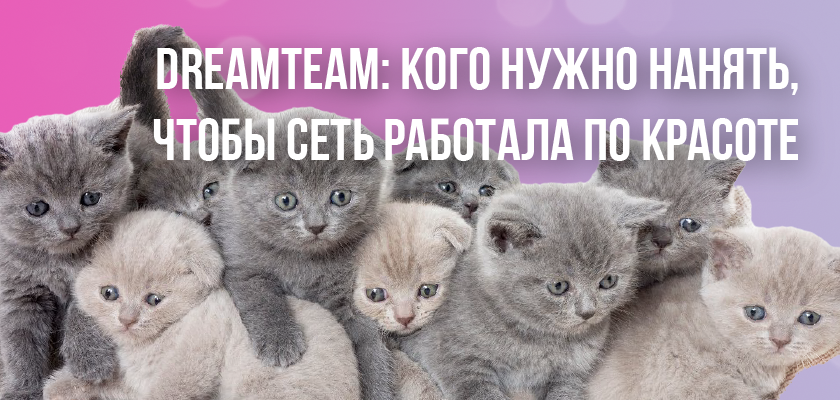 DreamTeam: кого нужно нанять, чтобы сеть работала по красоте